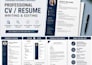 write or professionally edit your CV and resume
